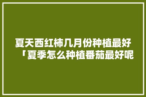 夏天西红柿几月份种植最好「夏季怎么种植番茄最好呢」 夏天西红柿几月份种植最好「夏季怎么种植番茄最好呢」 番茄病虫害防治
