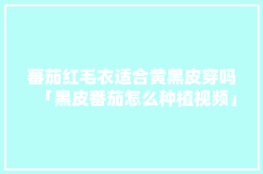 蕃茄红毛衣适合黄黑皮穿吗「黑皮番茄怎么种植视频」