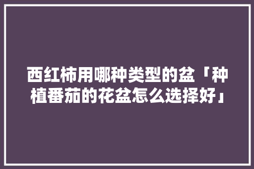 西红柿用哪种类型的盆「种植番茄的花盆怎么选择好」 西红柿用哪种类型的盆「种植番茄的花盆怎么选择好」 花朵知识