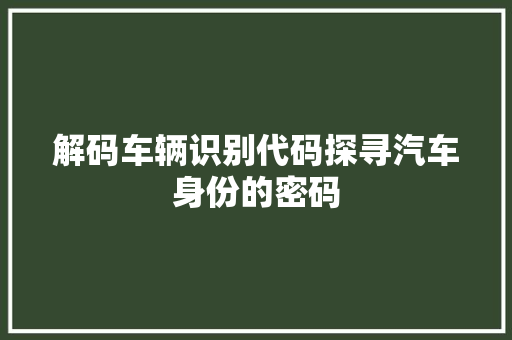 解码车辆识别代码探寻汽车身份的密码