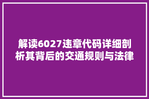 解读6027违章代码详细剖析其背后的交通规则与法律意义 花朵知识