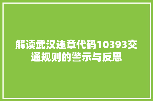 解读武汉违章代码10393交通规则的警示与反思