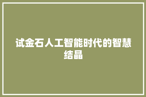 试金石人工智能时代的智慧结晶