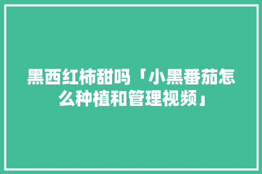 黑西红柿甜吗「小黑番茄怎么种植和管理视频」 黑西红柿甜吗「小黑番茄怎么种植和管理视频」 农业常识