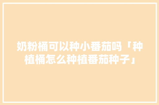 奶粉桶可以种小番茄吗「种植桶怎么种植番茄种子」 奶粉桶可以种小番茄吗「种植桶怎么种植番茄种子」 农业常识