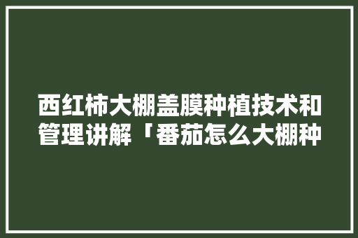 西红柿大棚盖膜种植技术和管理讲解「番茄怎么大棚种植视频」 西红柿大棚盖膜种植技术和管理讲解「番茄怎么大棚种植视频」 种植技巧