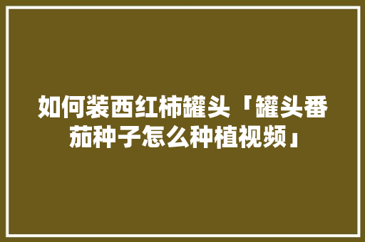 如何装西红柿罐头「罐头番茄种子怎么种植视频」 如何装西红柿罐头「罐头番茄种子怎么种植视频」 土壤施肥