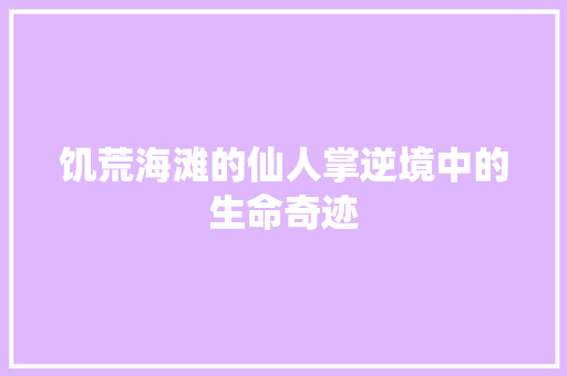 饥荒海滩的仙人掌逆境中的生命奇迹 花朵知识