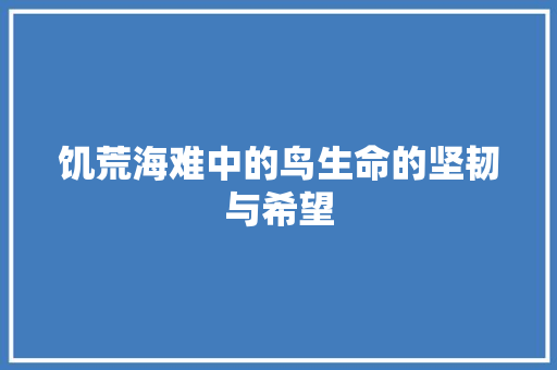 饥荒海难中的鸟生命的坚韧与希望