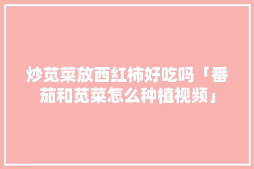 炒苋菜放西红柿好吃吗「番茄和苋菜怎么种植视频」 炒苋菜放西红柿好吃吗「番茄和苋菜怎么种植视频」 土壤施肥