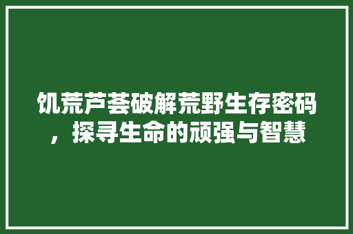 饥荒芦荟破解荒野生存密码，探寻生命的顽强与智慧