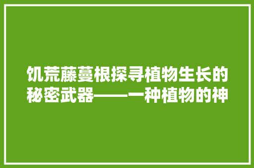 饥荒藤蔓根探寻植物生长的秘密武器——一种植物的神奇生命力 番茄病虫害防治