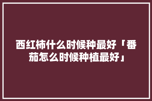 西红柿什么时候种最好「番茄怎么时候种植最好」 西红柿什么时候种最好「番茄怎么时候种植最好」 植物种类