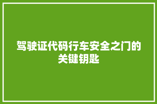 驾驶证代码行车安全之门的关键钥匙