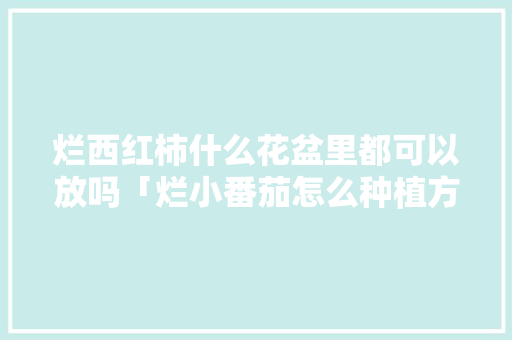 烂西红柿什么花盆里都可以放吗「烂小番茄怎么种植方法视频」 烂西红柿什么花盆里都可以放吗「烂小番茄怎么种植方法视频」 农业常识