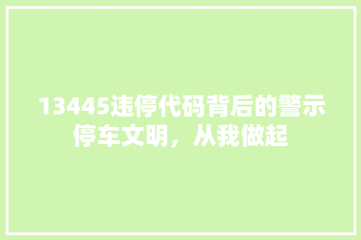 13445违停代码背后的警示停车文明，从我做起