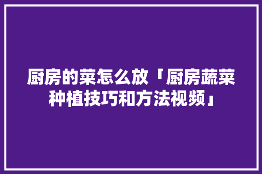 厨房的菜怎么放「厨房蔬菜种植技巧和方法视频」 厨房的菜怎么放「厨房蔬菜种植技巧和方法视频」 植物种类