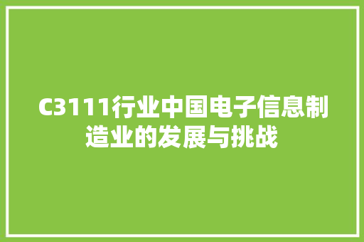 C3111行业中国电子信息制造业的发展与挑战