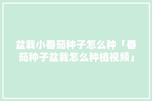 盆栽小番茄种子怎么种「番茄种子盆栽怎么种植视频」 盆栽小番茄种子怎么种「番茄种子盆栽怎么种植视频」 种植技巧