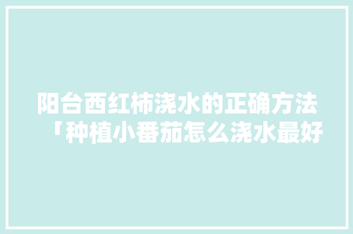 阳台西红柿浇水的正确方法「种植小番茄怎么浇水最好」 阳台西红柿浇水的正确方法「种植小番茄怎么浇水最好」 种植技巧