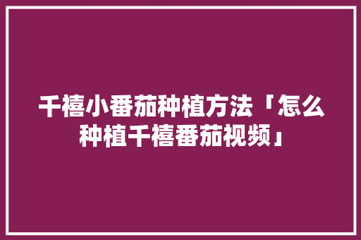 千禧小番茄种植方法「怎么种植千禧番茄视频」