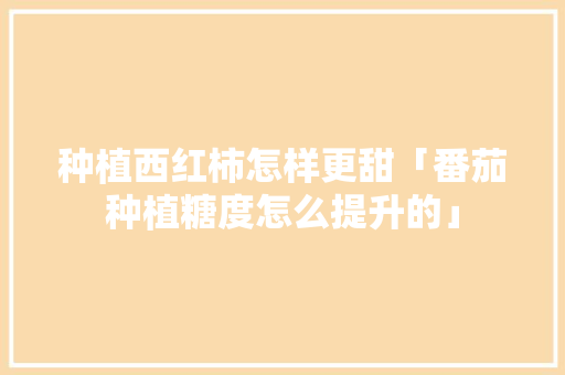 种植西红柿怎样更甜「番茄种植糖度怎么提升的」