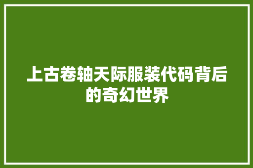 上古卷轴天际服装代码背后的奇幻世界