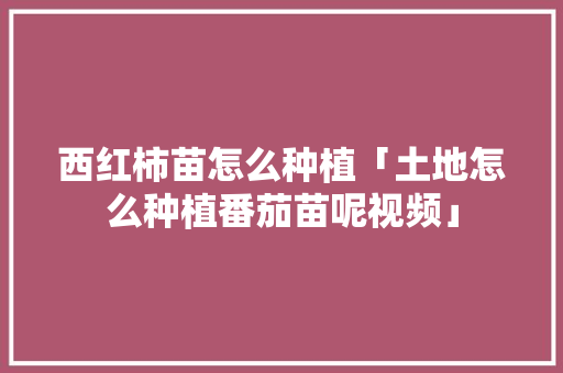 西红柿苗怎么种植「土地怎么种植番茄苗呢视频」 种植技巧 西红柿苗怎么种植「土地怎么种植番茄苗呢视频」 西红柿苗怎么种植「土地怎么种植番茄苗呢视频」 种植技巧