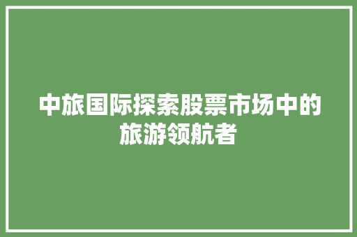 中旅国际探索股票市场中的旅游领航者