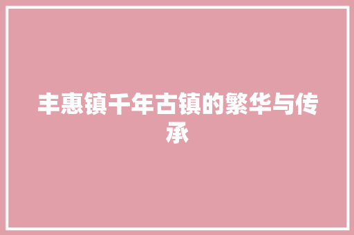 丰惠镇千年古镇的繁华与传承