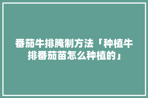 番茄牛排腌制方法「种植牛排番茄苗怎么种植的」 番茄牛排腌制方法「种植牛排番茄苗怎么种植的」 番茄病虫害防治