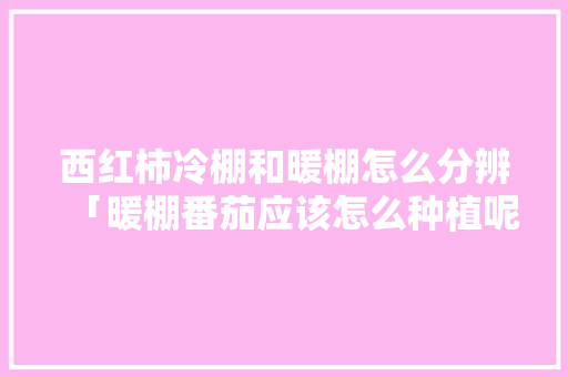 西红柿冷棚和暖棚怎么分辨「暖棚番茄应该怎么种植呢」 西红柿冷棚和暖棚怎么分辨「暖棚番茄应该怎么种植呢」 番茄病虫害防治
