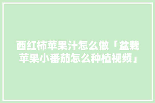 西红柿苹果汁怎么做「盆栽苹果小番茄怎么种植视频」 西红柿苹果汁怎么做「盆栽苹果小番茄怎么种植视频」 花朵知识