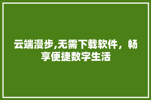 云端漫步,无需下载软件，畅享便捷数字生活