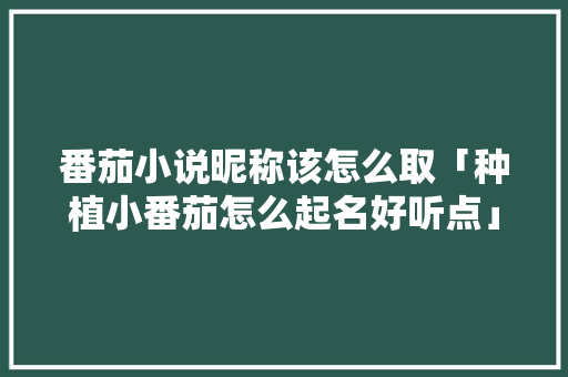 番茄小说昵称该怎么取「种植小番茄怎么起名好听点」