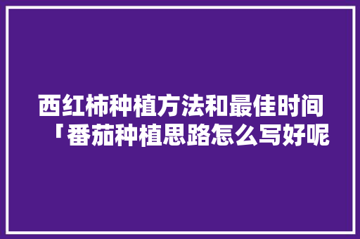 西红柿种植方法和最佳时间「番茄种植思路怎么写好呢图片」 西红柿种植方法和最佳时间「番茄种植思路怎么写好呢图片」 农业常识