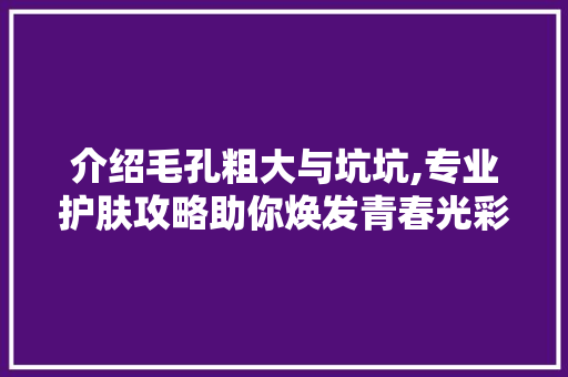介绍毛孔粗大与坑坑,专业护肤攻略助你焕发青春光彩