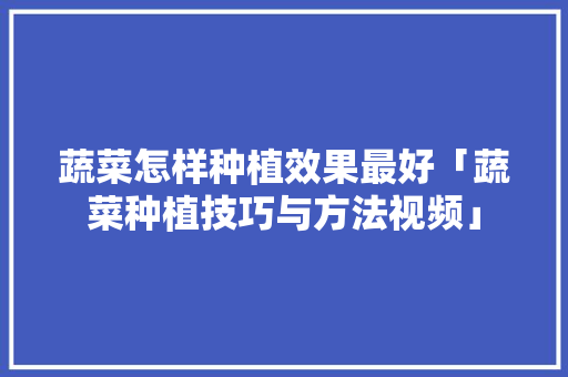 蔬菜怎样种植效果最好「蔬菜种植技巧与方法视频」 蔬菜怎样种植效果最好「蔬菜种植技巧与方法视频」 番茄种植技巧