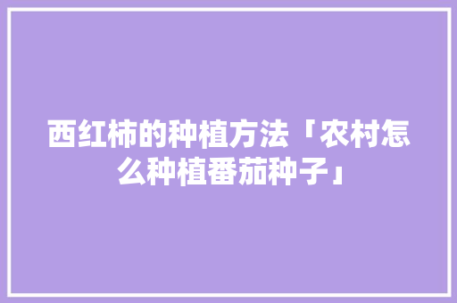 西红柿的种植方法「农村怎么种植番茄种子」 西红柿的种植方法「农村怎么种植番茄种子」 番茄种植技巧