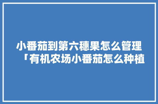 小番茄到第六穗果怎么管理「有机农场小番茄怎么种植的」 小番茄到第六穗果怎么管理「有机农场小番茄怎么种植的」 土壤施肥