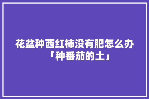 花盆种西红柿没有肥怎么办「种番茄的土」 花盆种西红柿没有肥怎么办「种番茄的土」 农业常识