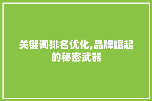关键词排名优化,品牌崛起的秘密武器 种植技巧