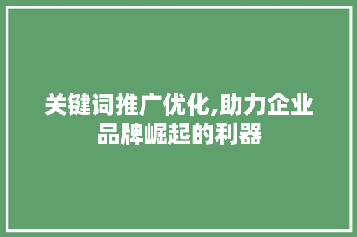 关键词推广优化,助力企业品牌崛起的利器 土壤施肥