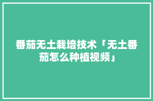 番茄无土栽培技术「无土番茄怎么种植视频」 番茄无土栽培技术「无土番茄怎么种植视频」 种植技巧