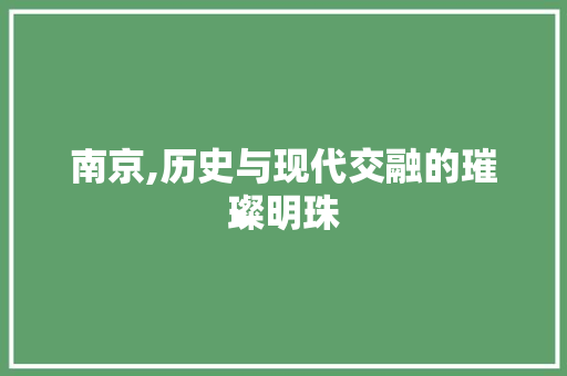 南京,历史与现代交融的璀璨明珠