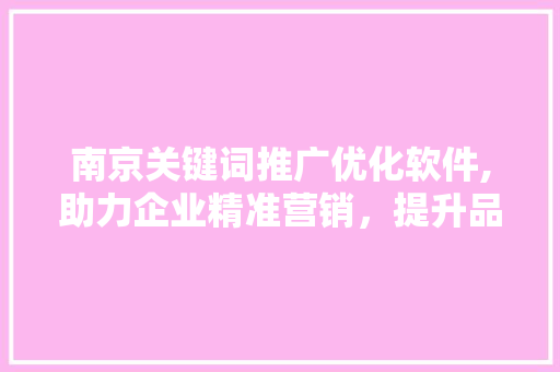 南京关键词推广优化软件,助力企业精准营销，提升品牌影响力