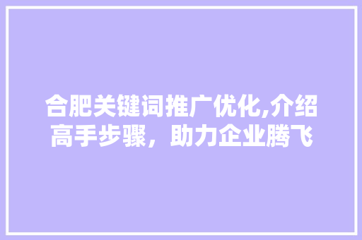 合肥关键词推广优化,介绍高手步骤，助力企业腾飞