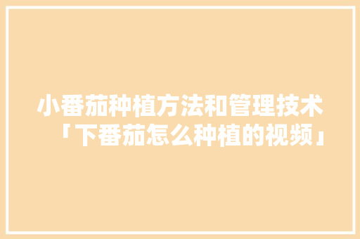 小番茄种植方法和管理技术「下番茄怎么种植的视频」 小番茄种植方法和管理技术「下番茄怎么种植的视频」 花朵知识
