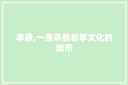 孝感,一座承载着孝文化的城市