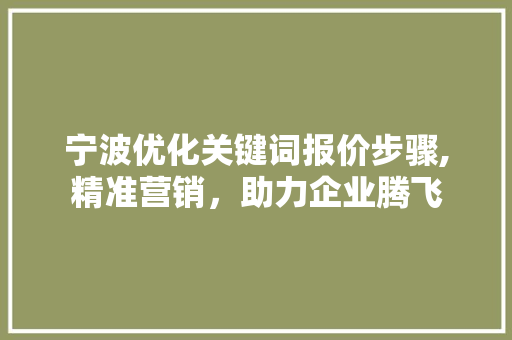 宁波优化关键词报价步骤,精准营销，助力企业腾飞